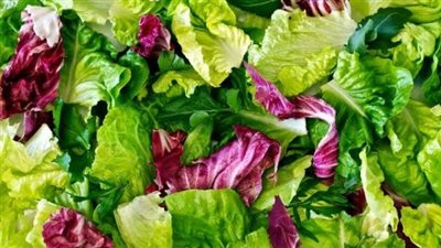 تأثير تناول الخس على صحة الجسم.. هل مفيد أم مضر؟