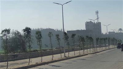 وزيرة البيئة: توفير 222 ألف شجرة لزراعتها في 21 محافظة والقرى التابعة لها ضمن 