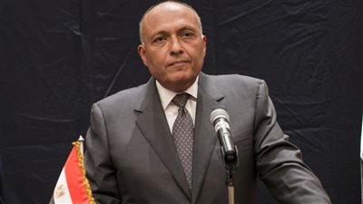 وزير الخارجية: إقامة الدولة الفلسطينية المستقلة هو الحل الوحيد لإنهاء الصراع مع إسرائيل