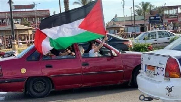 رفع علم فلسطين ببورسعيد