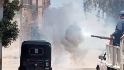 لمنع انتشار الحشرات.. 