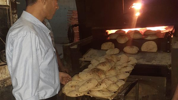 حملة تموينية في المنيا