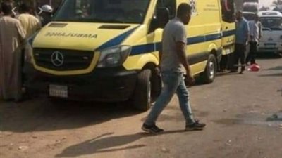 بسبب طيارة ورق.. مصرع طفل بالإعدادية في كفر الشيخ 