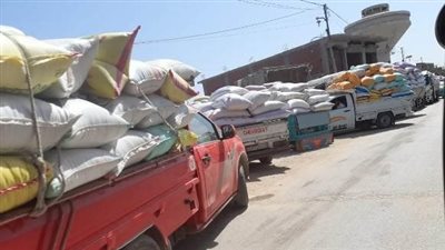 الأولى على الجمهورية.. صوامع الشرقية تستقبل 540 ألف طن قمح بموسم الحصاد