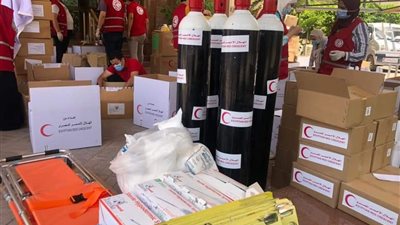 الهلال الأحمر المصري: 15 طنًا من المساعدات ستصل إلى قطاع غزة
