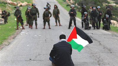 طريقة مبتكرة.. فتاة تشرح قضية فلسطين في أغنية على انستجرام (فيديو)