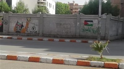تضامنًا مع غزة.. سور مدرسة التحرير بقنا يتزين بعلم فلسطين
