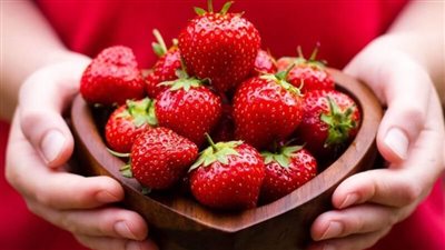 تناول الفراولة يوقف تطور مرض الزهايمر|دراسة 