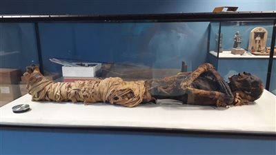 بعد افتتاحه.. أبرز القطع الأثرية بمتحف مطار القاهرة الدولي (صور)