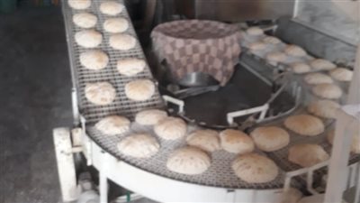 محافظ الإسكندرية يوجه باستمرار الحملات الرقابية على الأسواق والمخابز ومحطات تموين السيارات ومستودعات البوتاجاز