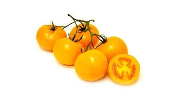 الطماطم الصفراء