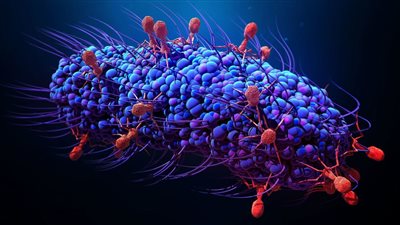 أكثر الأشياء احتواءً على جراثيم في المنزل