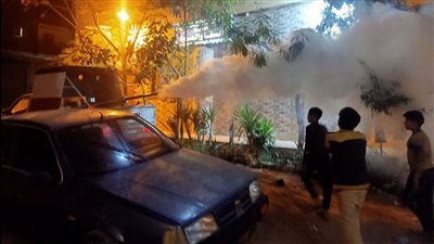 حملات لمكافحة الحشرات الطائرة بمراكز ومدن محافظة كفر الشيخ