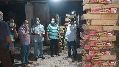 الطب البيطري بالمنوفية يضبط طني أسماك مملحة غير صالحة للاستهلاك الآدمي