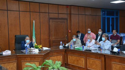 منها مشروعات حياة كريمة.. محافظ المنيا يبحث مع نواب البرلمان عددًا من القضايا