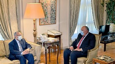 لبحث مستجدات الأزمة اليمنية.. وزير الخارجية يلتقي رئيس مجلس الشورى اليمني