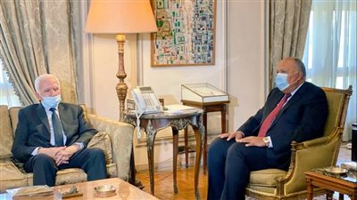 خلال اجتماعه مع عضو تنفيذية منظمة التحرير.. وزير الخارجية: الاتصالات مستمرة لإنهاء التصعيد بين غزة وإسرائيل 