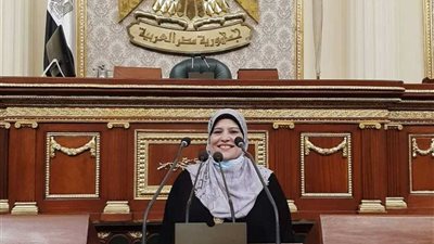 برلمانية تتقدم بطلب إنشاء كلية الخدمة الاجتماعية بمدينة إسنا بالأقصر