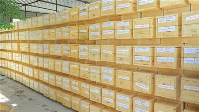 بتكلفة 32 مليون جنيه.. 200 طلمبة أعماق غاطسة من مبادرة 