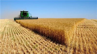 تنمية الريف المصري: تيسيرات جديدة لمنتفعي 