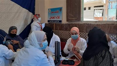 قافلة شاملة بقرية الأمراء في البحيرة ضمن مبادرة 