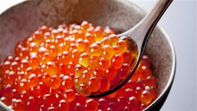 الفوائد الصحية المدهشة لتناول الكافيار.. تعرف عليها 