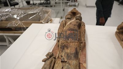 مصدر بالآثار: المتحف المصري الكبير يبدأ في ترميم تماثيل سخمت (خاص)