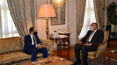 وزير الخارجية يستقبل نظيره القبرصي لبحث القضايا الإقليمية (صور)