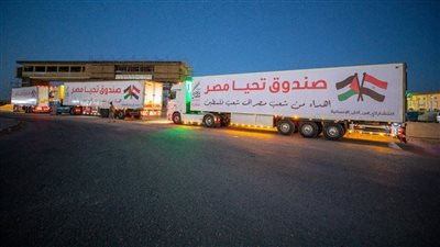 تحيا مصر: 500 طن سيراميك وأدوات صحية على متن 130 حاوية لقطاع غزة