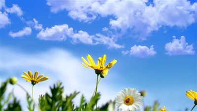 طقس الأحد.. انخفاض درجات الحرارة وفرص سقوط الأمطار