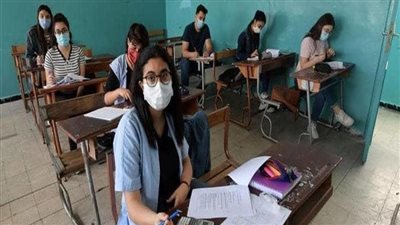 غدًا.. بدء المراجعات النهائية للثانوية العامة عبر قناة 