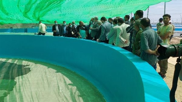 وزير الزراعة 