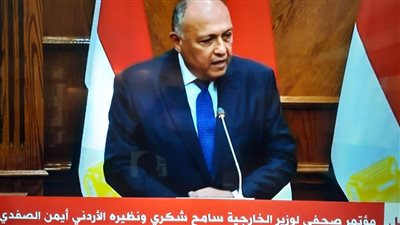 وزير الخارجية: يجب تفعيل حل الدولتين وتحقيق مطالب الشعب الفلسطيني