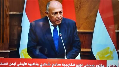 وزير الخارجية: نعمل على إنهاء الصراع بشكل نهائي.. وإزالة إحباط الشعب الفلسطيني