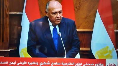 وزير الخارجية: نسعى لوضع آليات مع الشركاء الدوليين لحل القضية الفلسطينية