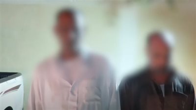 القبض على شخصين تحرشا بإحدى السيدات وتعديا عليها بالضرب في القاهرة