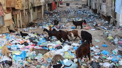 مرتع للقمامة والصرف الصحي وآيلة للانهيار.. سكان وابور الجاز بالإسكندرية يستغيثون لإنقاذهم