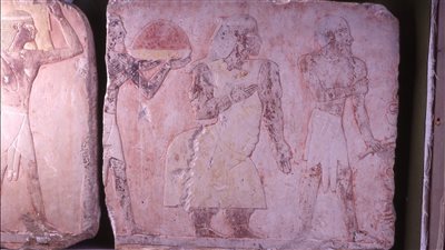 بمناسبة تأسيس منظمة الوحدة الإفريقية.. متحف التحرير يلقي الضوء على بعثة الملكة حتشبسوت (صور)