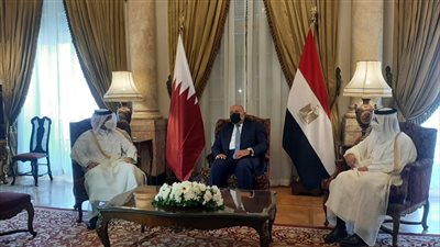 بدء جلسة المباحثات الثنائية بين وزيري خارجية مصر وقطر