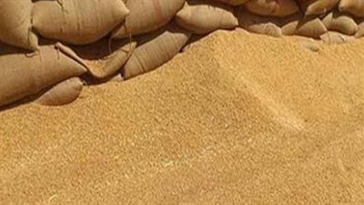 تفاصيل إحالة رجلي أعمال للمحاكمة بقضية 