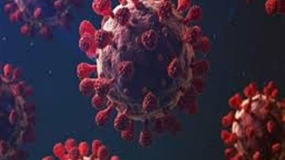 القليوبية تسجل 59 إصابة جديدة بفيروس كورونا