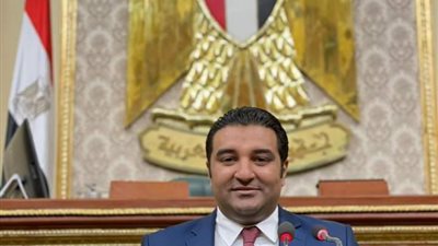 تأمين صحي والحق في الزواج.. مشروع قانون جديد في مجلس النواب لدعم ذوي الإعاقة