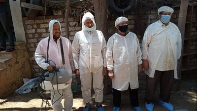 بعد إعلان وجود إنفلونزا الطيور.. مدير بيطري المنوفية: 