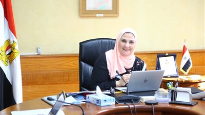 التضامن: السيسي وجه بتوسيع النطاق الجغرافي لتطوير القرى بتكلفة 700 مليار جنيه (فيديو)