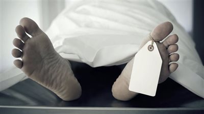 مقتل شاب طعنًا على يد زوجته حتى استخرجت أحشاءه في سوهاج