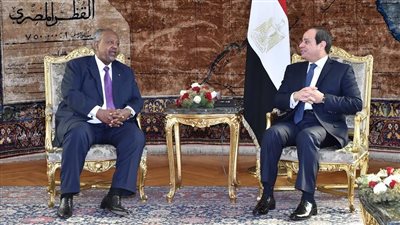 السيسي ونظيره الجيبوتي يتوافقان على أهمية التوصل لاتفاق قانوني عادل حول ملء وتشغيل سد النهضة