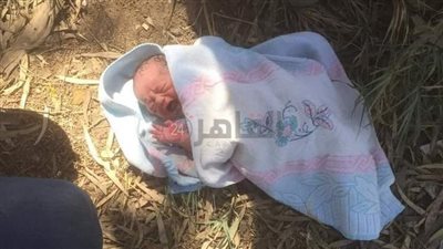العثور على طفل عمره 4 أيام في المحلة.. وجهود مكثفة لمعرفة أهليته
