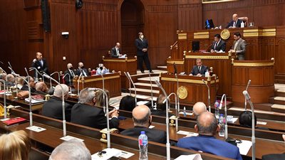 الشيوخ يطالب بإنشاء وكالة الفضاء الإفريقية لتعزيز دور مصر الريادي