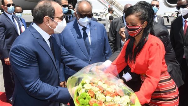 الرئيس السيسي 