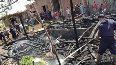 نفوق 7 رؤوس ماشية في حريق هائل بسوهاج